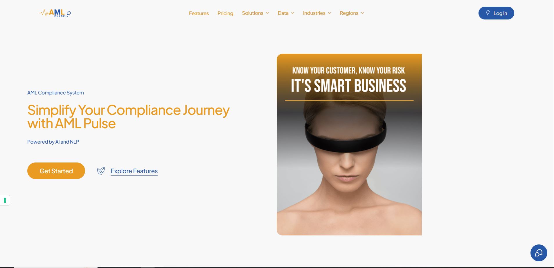 The AML Pulse website preview